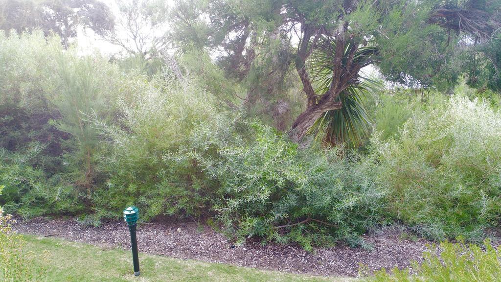 Margaret River Beach Apartments Gnarabup Εξωτερικό φωτογραφία